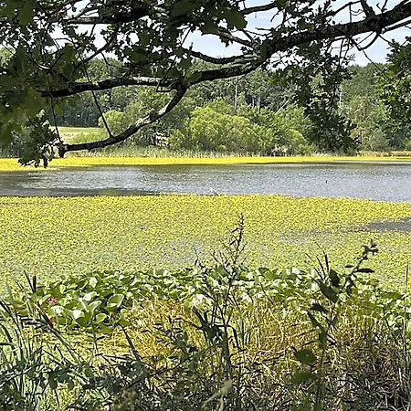 Отель Maarheide Вер